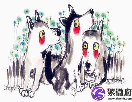 狗和虎的属相合不合