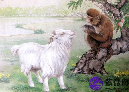 猴和羊的属相合不合