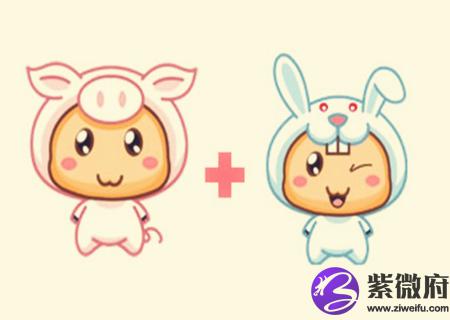 猪和兔的属相合不合