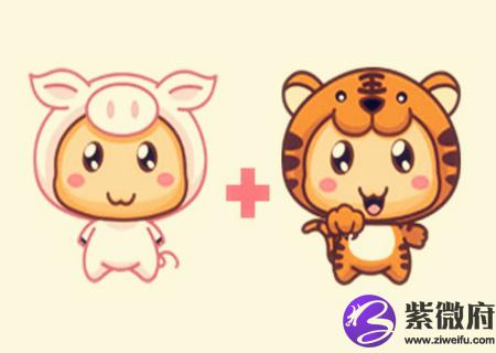 猪和虎的属相合不合