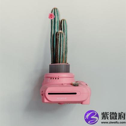 必看，揭秘十二生肖桃花少的原因