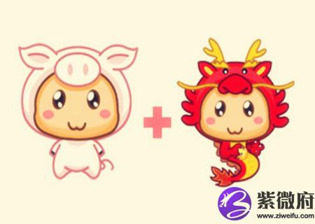 猪和龙的属相合不合