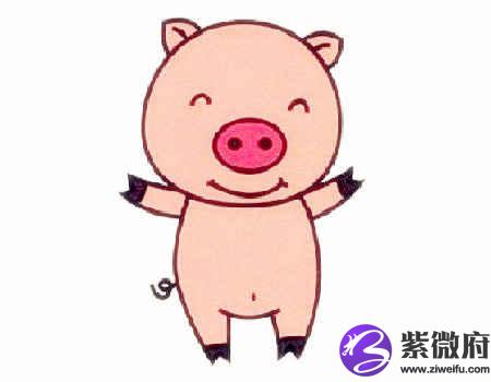 生肖属猪女最怕几月出生