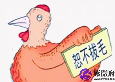 最小气的生肖是什么