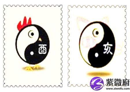 鸡和猪的属相合不合