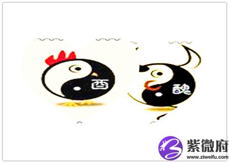 鸡和牛的属相合不合