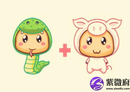 猪和蛇的属相合不合
