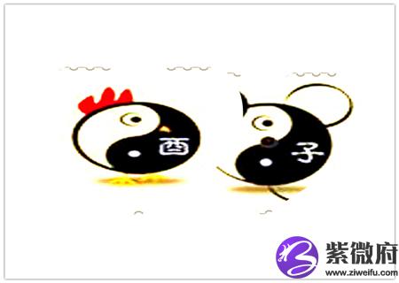鸡和鼠的属相合不合