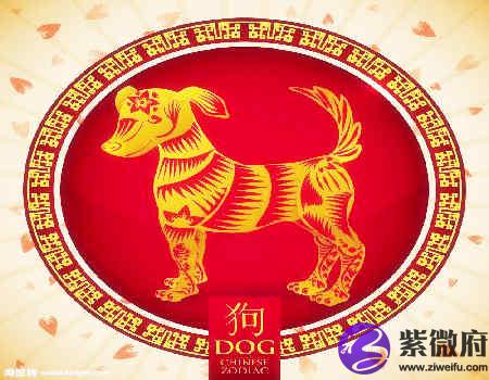 狗和狗的属相合不合