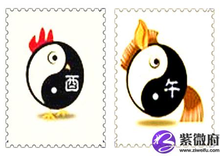 鸡和马的属相合不合