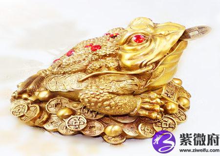 什么属相不能摆金蟾