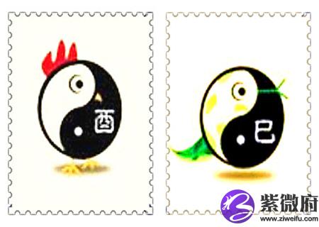 鸡和蛇的属相合不合
