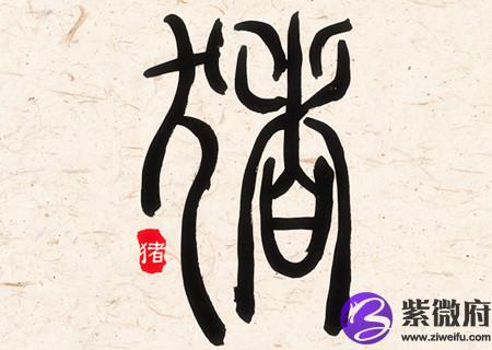 属猪女人生于几月偏财运好