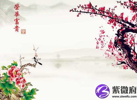 什么生肖荣华富贵