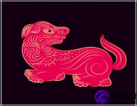狗和鸡的属相合不合