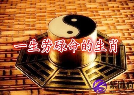 什么生肖一生劳碌命