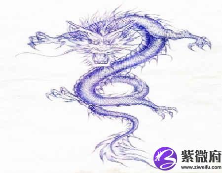 龙配什么生肖最好