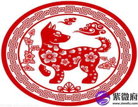 生肖狗的健康运势