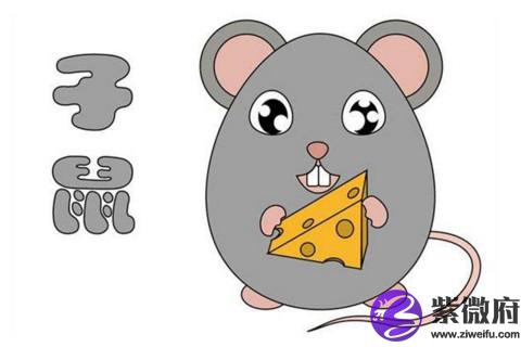 麦玲玲2021年生肖鼠运势详解 属鼠人2021年全年运势详解