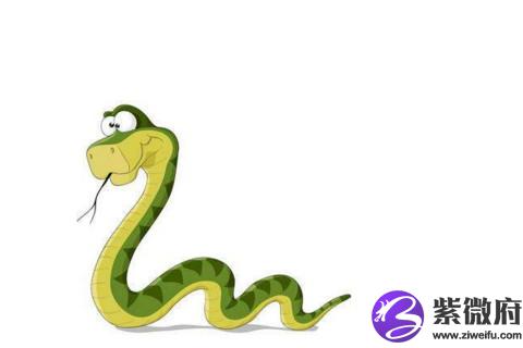 麦玲玲2021年生肖蛇运势详解 属蛇人2021年全年运势详解