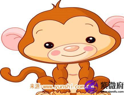 十月出生属猴人的运势