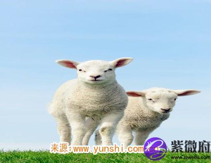 三月出生属羊人的运势