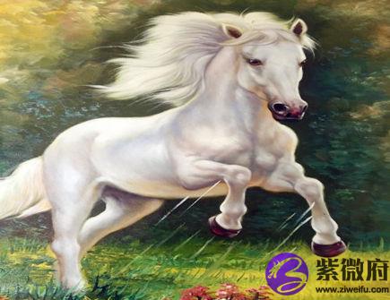 四月出生属马人的运势