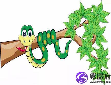 六月出生属蛇人的运势