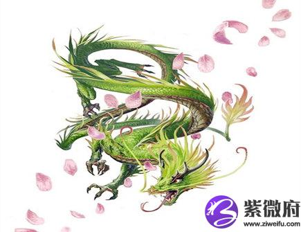 七月出生属龙人的运势