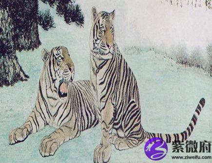 一月出生属虎人的运势
