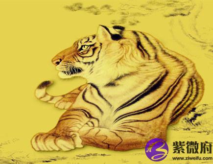 十月出生属虎人的运势
