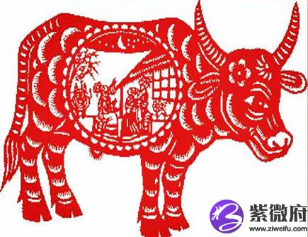 一月出生属牛人的运势