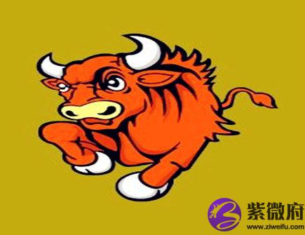 八月出生属牛人的运势