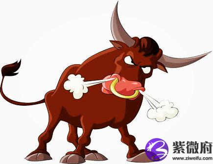 十一月出生属牛人的运势