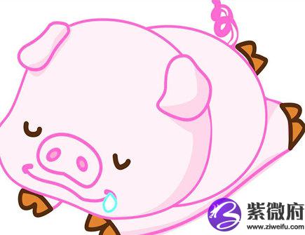 属猪人有什么性格特征