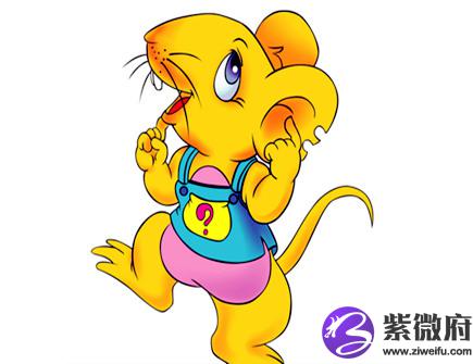 二月出生属鼠人的运势