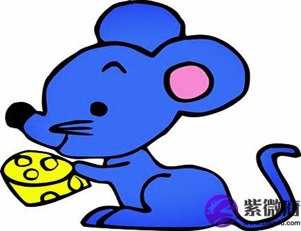 四月出生属鼠人的运势