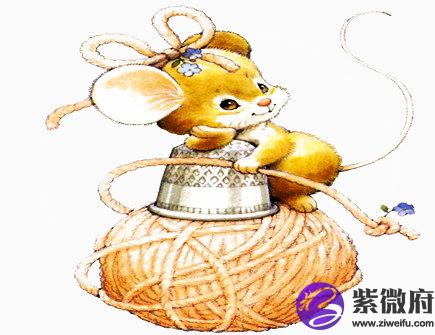 六月出生属鼠人的运势