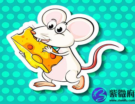 七月出生属鼠人的运势