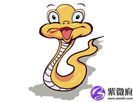 生肖蛇2020年正财运如何