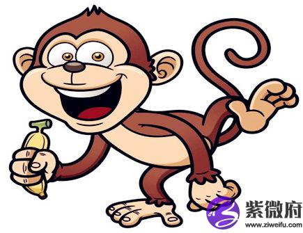 生肖猴2020年正财运如何
