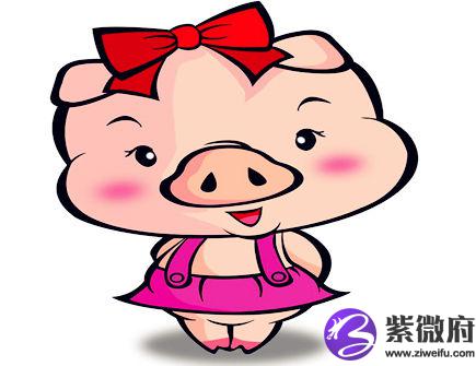 生肖猪2020年正财运如何