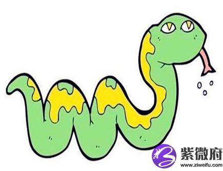属蛇人几点出生好