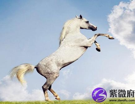 属马人几点出生好
