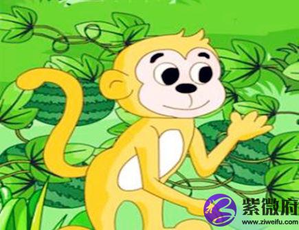 属猴人几点出生好
