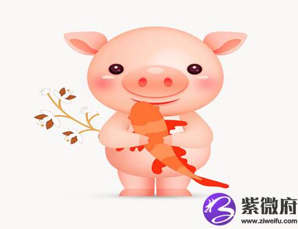 属猪人几点出生好