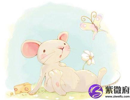 生肖鼠2020年正财运如何