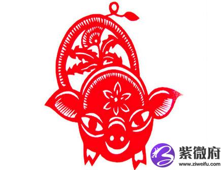 生肖猪2021年正财运如何