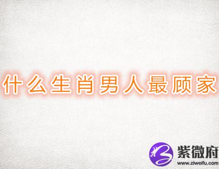 什么生肖男人最顾家
