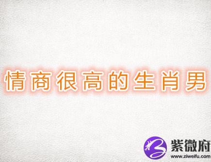 情商很高的生肖男